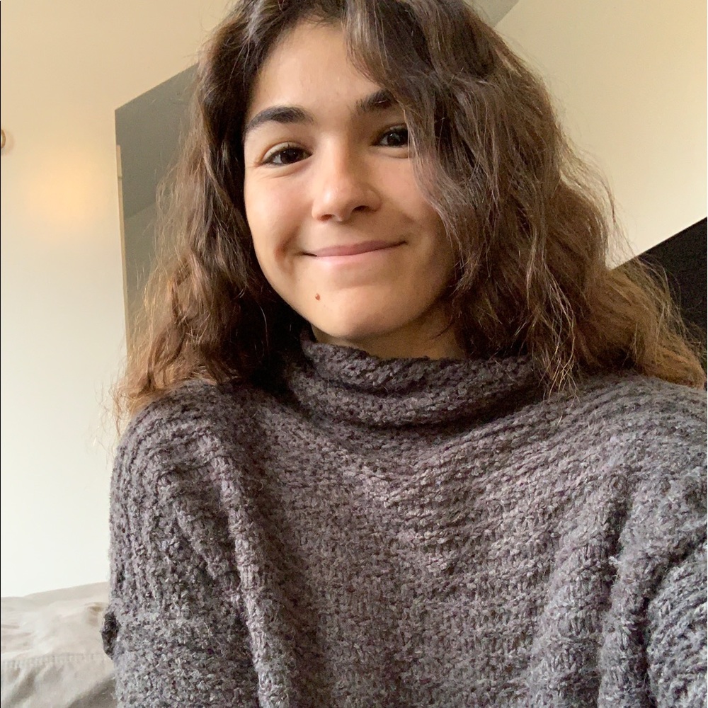 Aerie Cowl Neck Sweater